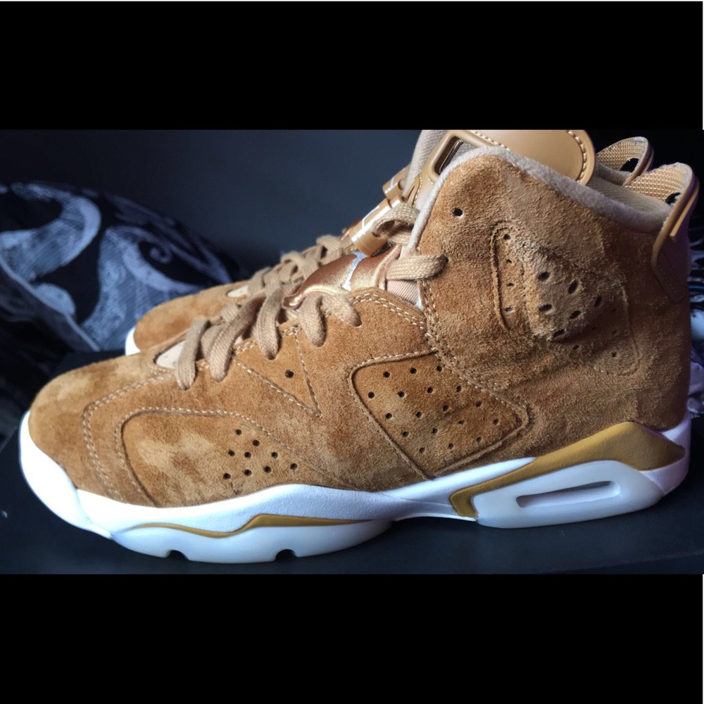 Air Jordan 6s